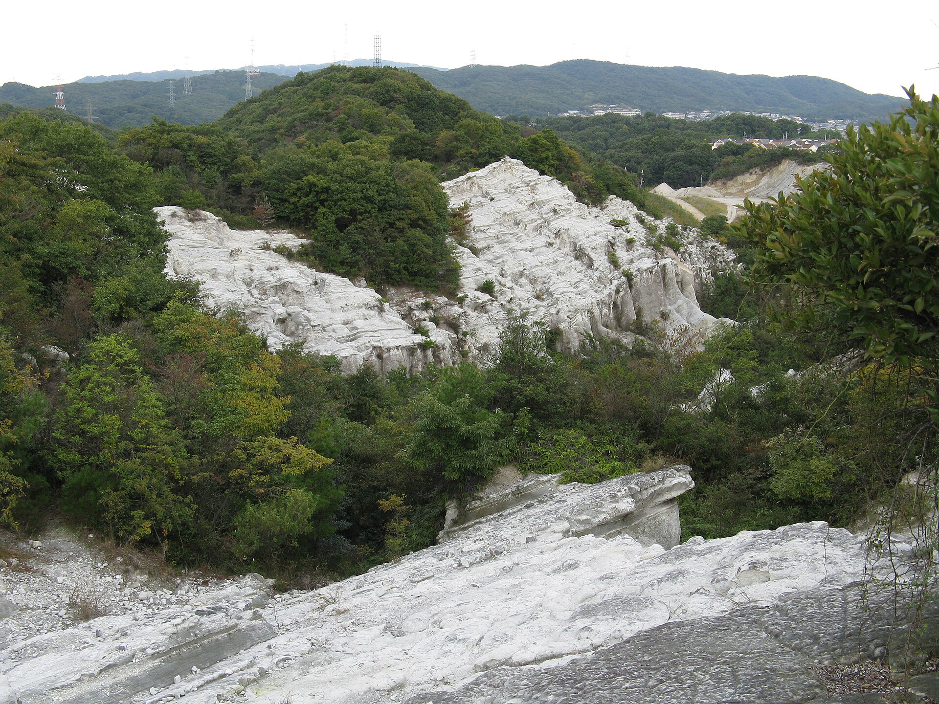 屯鶴峯の景観