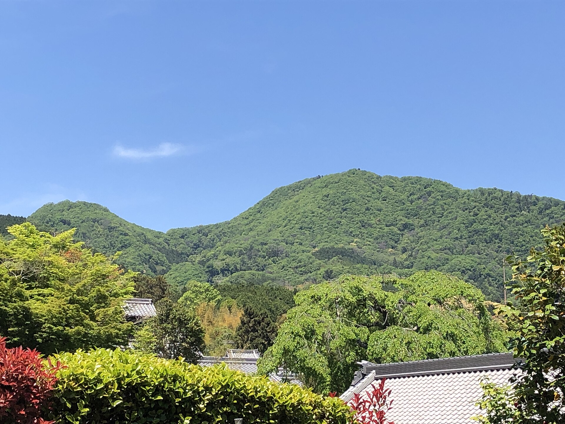 新緑の二上山。雄岳と雌岳のふたつの峰