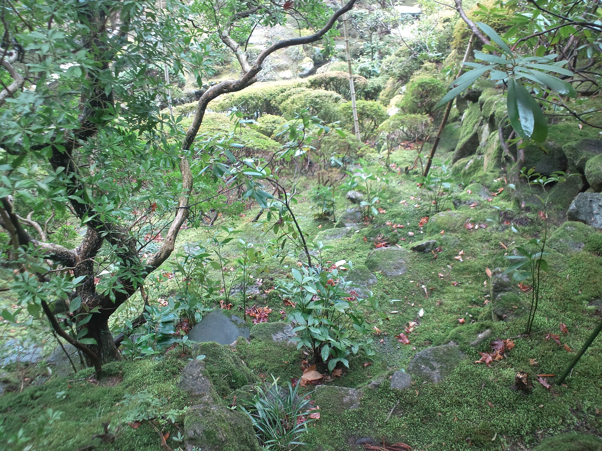 當麻寺西南院の庭園