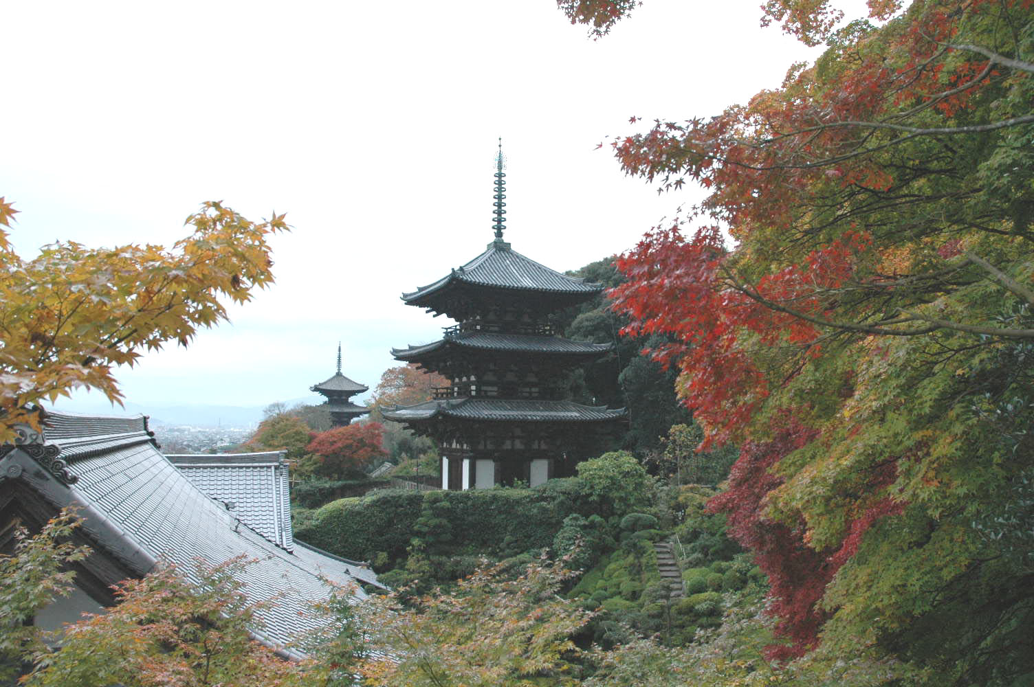 紅葉に囲まれた當麻寺の三重塔