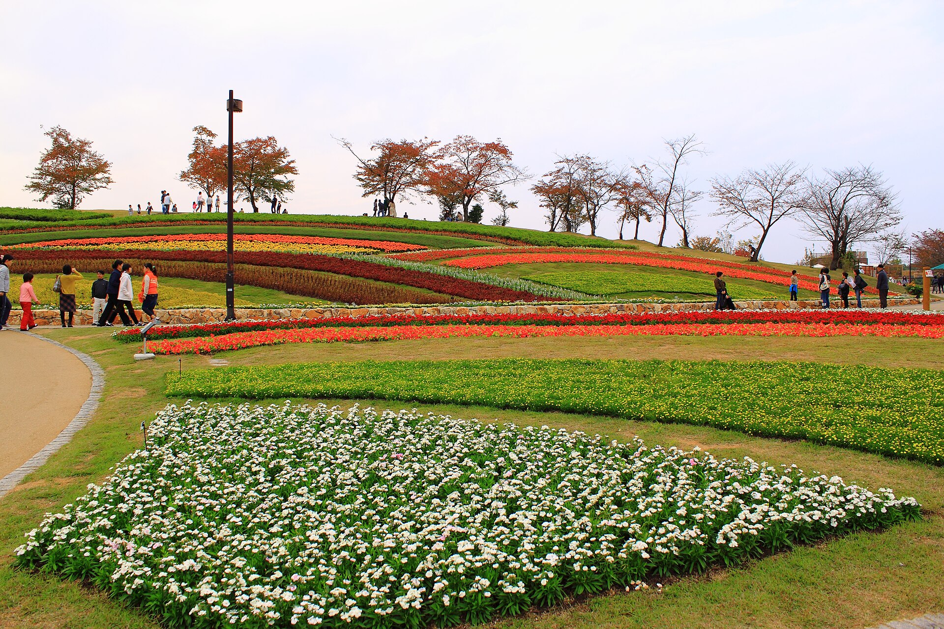 馬見丘陵公園の花と緑の風景